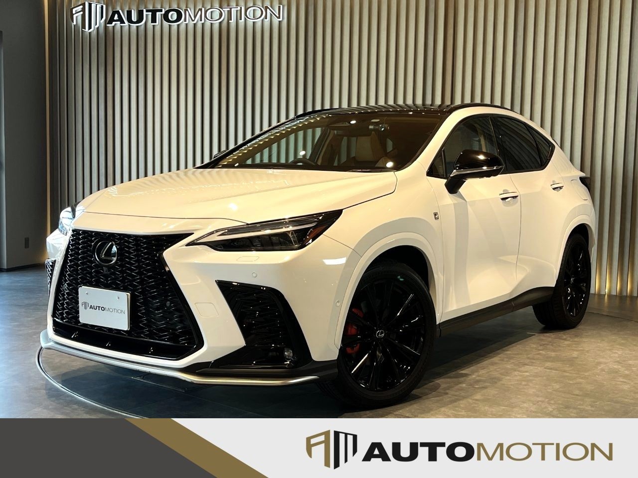 NX350h　白　R6年