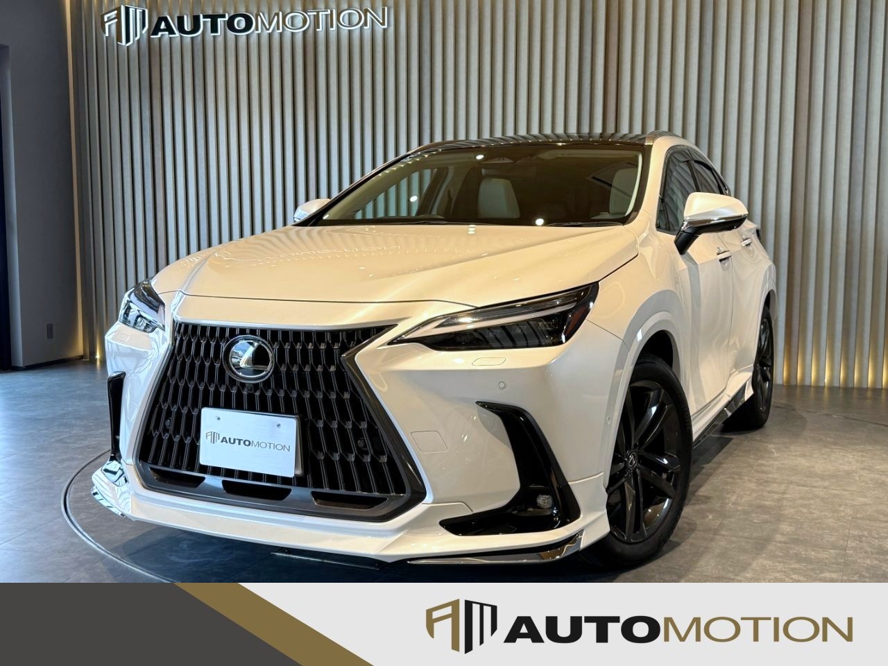 NX350h　白　R6