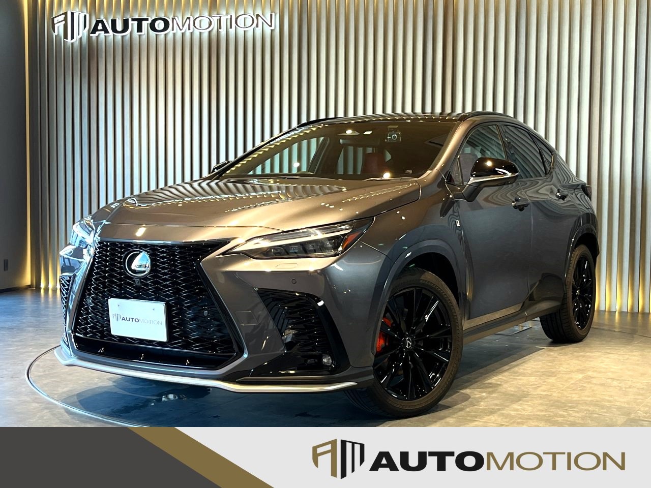 NX350　グレー　R5年