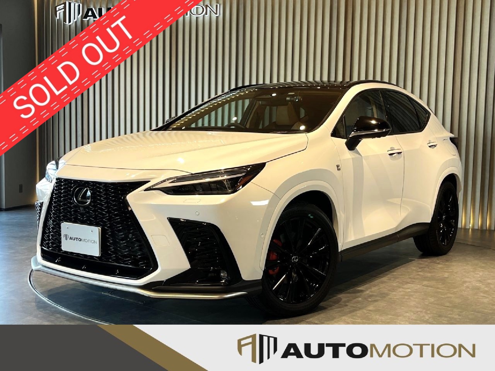 NX350h　白　R6年